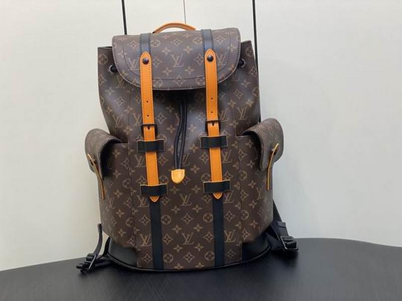 LV Handbags 41